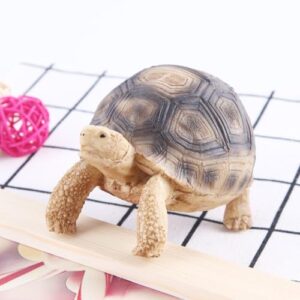 Turtle Home Decor