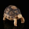 Turtle Figurine - Lifelike Resin Turtle Sculpture for Home Decor, Prosperity Symbol - Image 2