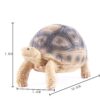 Turtle Figurine - Lifelike Resin Turtle Sculpture for Home Decor, Prosperity Symbol - Image 5