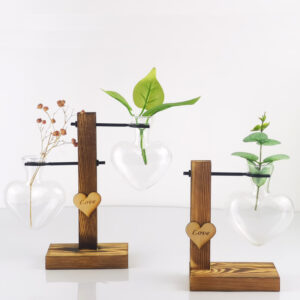 Hydroponic Glass Vase