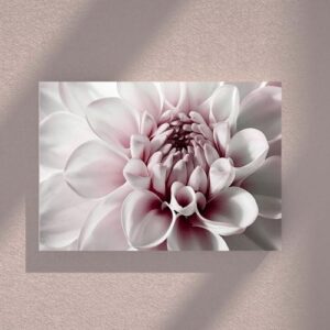 Peony Flower Art