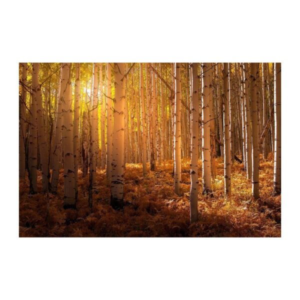 Beach Sunset Wall Art Canvas Print - Image 27