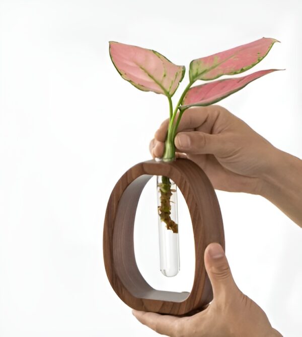 Walnut Wood Hydroponic Flower Vase - Image 6
