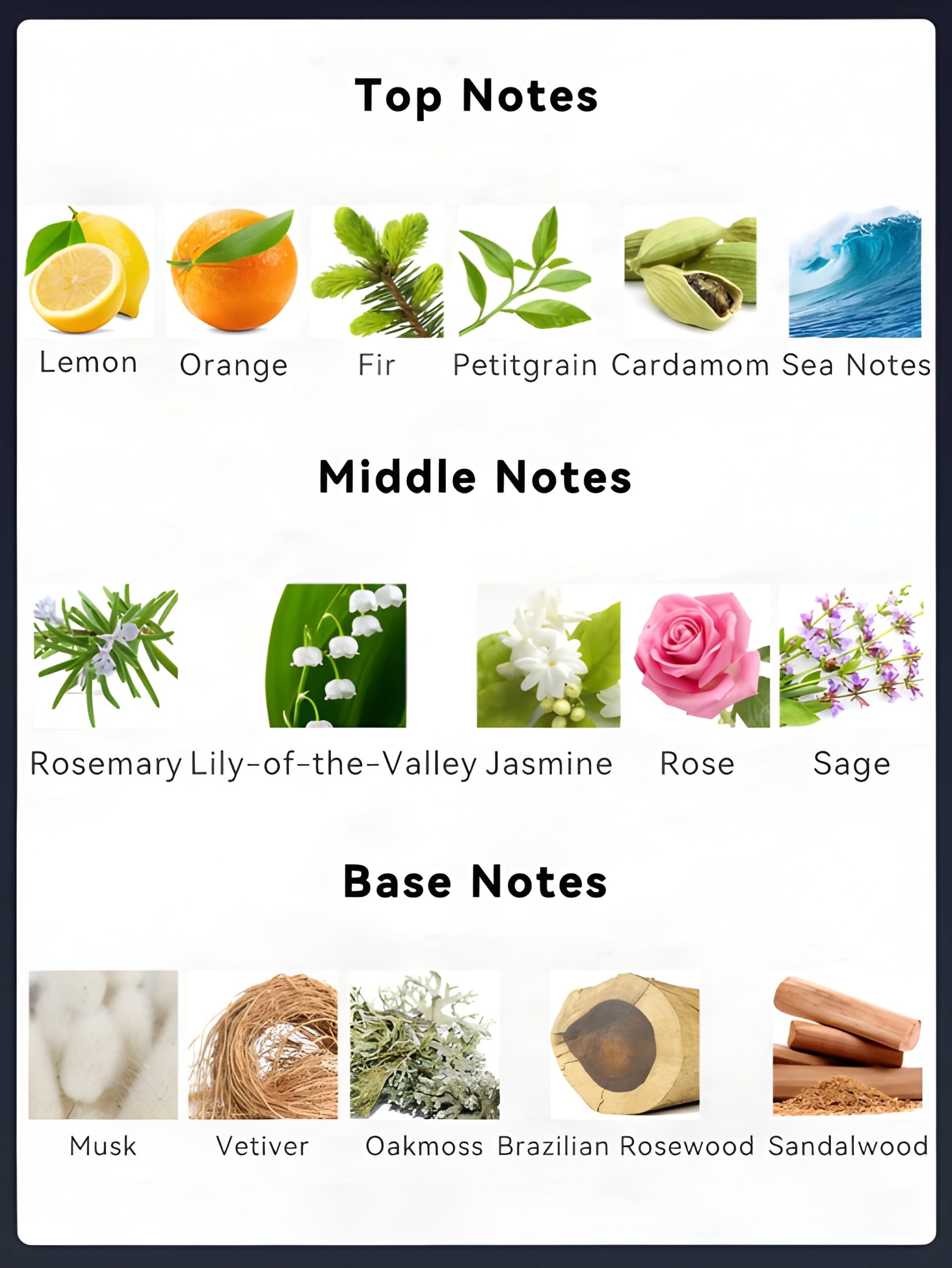 Steel Men’s Eau de Toilette Gift Set - Image 4